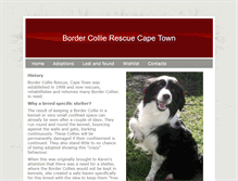 Tablet Screenshot of collierescue-capetown.com
